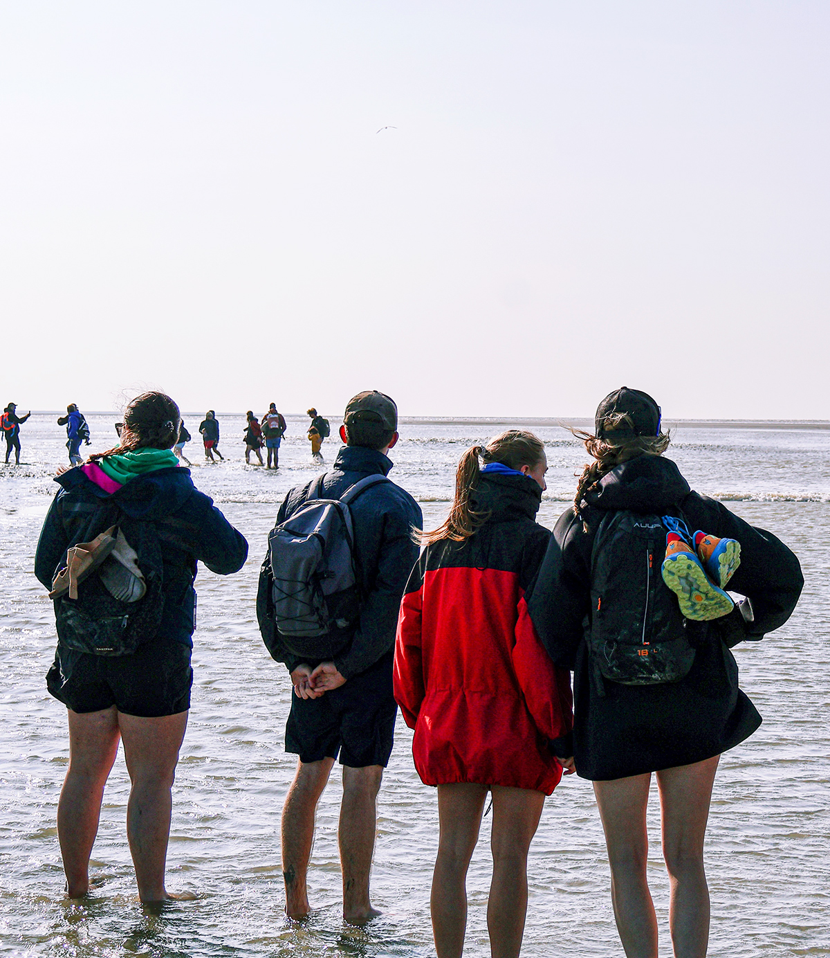 Grande marée Sorties guidées Échappée Baie
