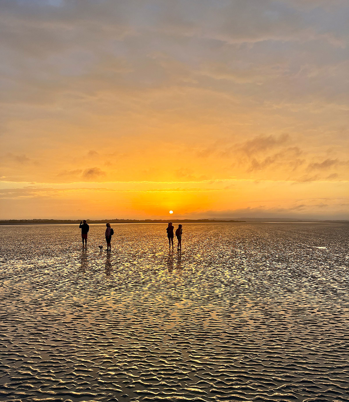 Escapade matinale Sorties guidées Échappée Baie